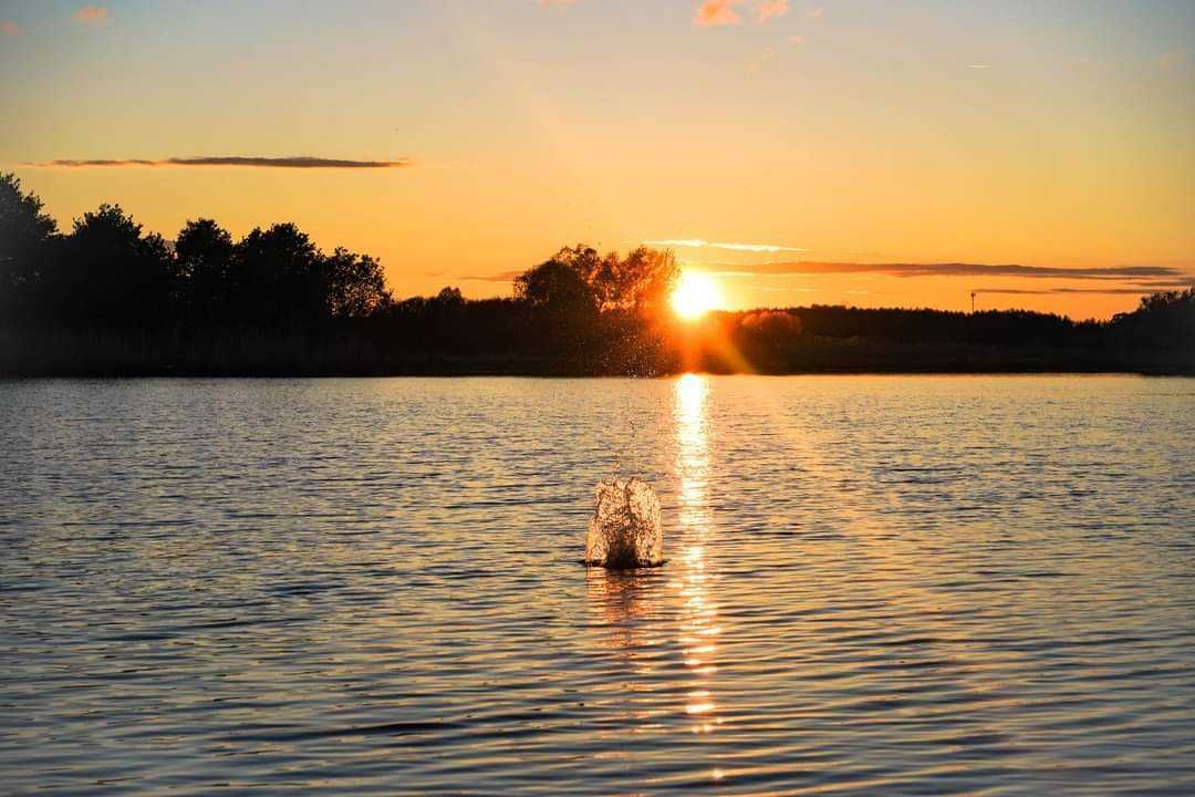 Działka rod Nowa Sól. Zdjęcie 6