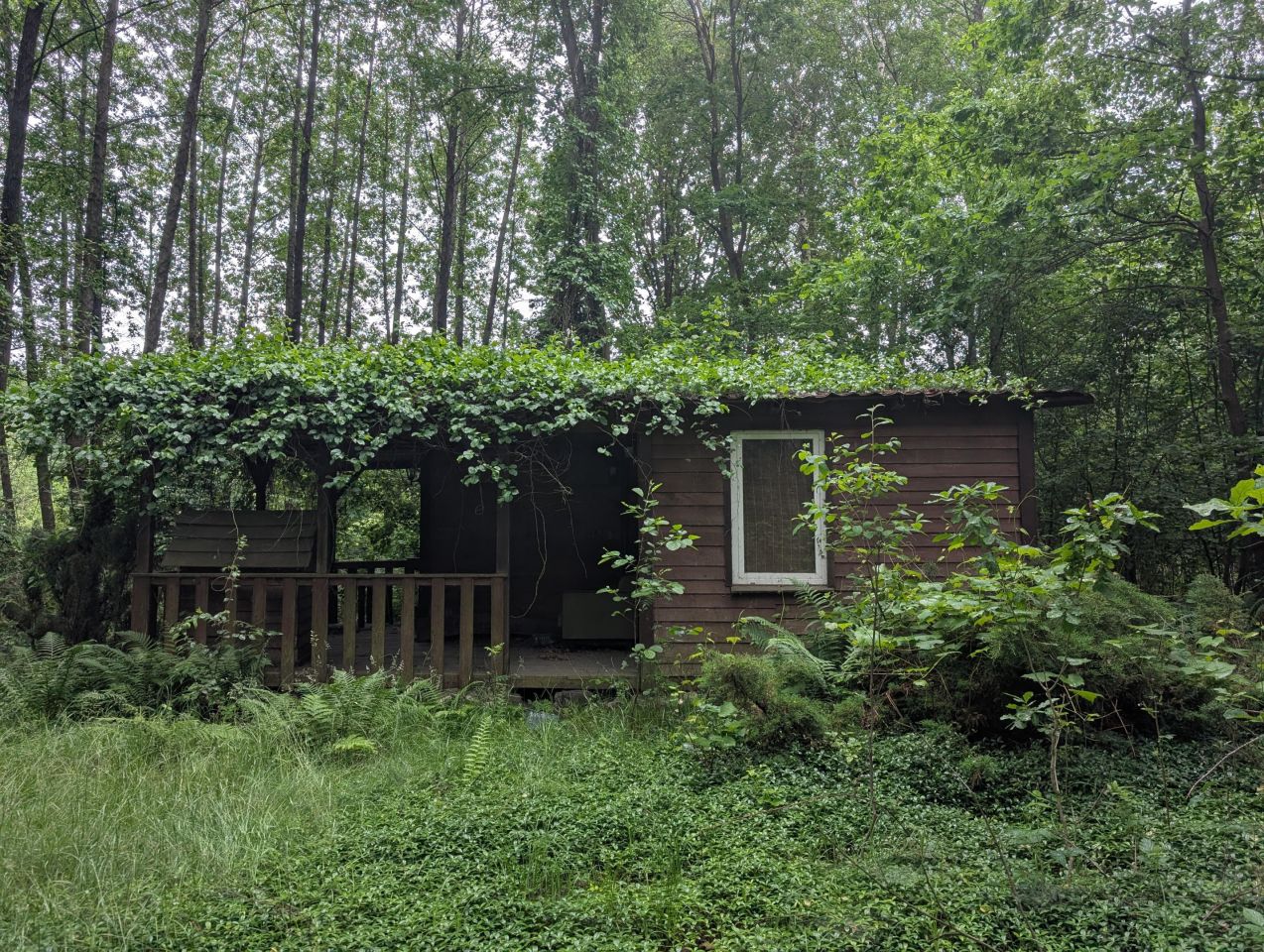 Działka rekreacyjna Czarny Las, brak. Zdjęcie 5