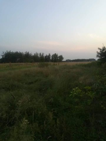 Działka budowlana Krzeszyce, ul. Ogrodowa. Zdjęcie 1