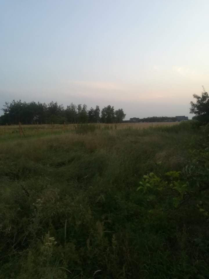 Działka budowlana Krzeszyce, ul. Ogrodowa. Zdjęcie 1