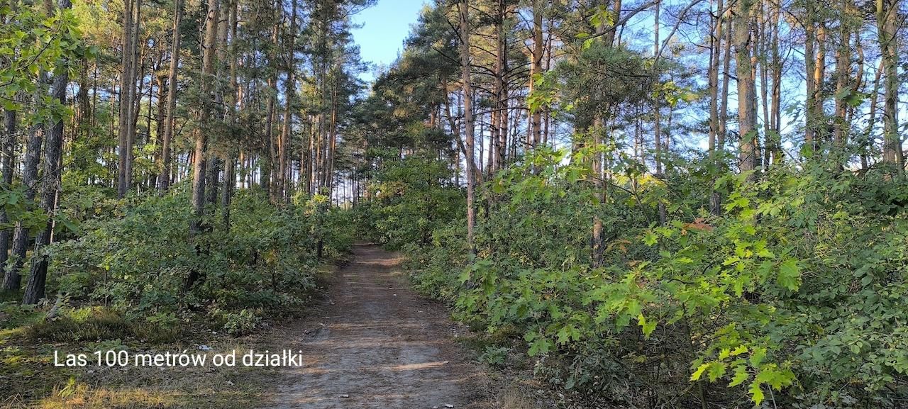 Działka budowlana Osowiec, ul. Parkowa. Zdjęcie 15