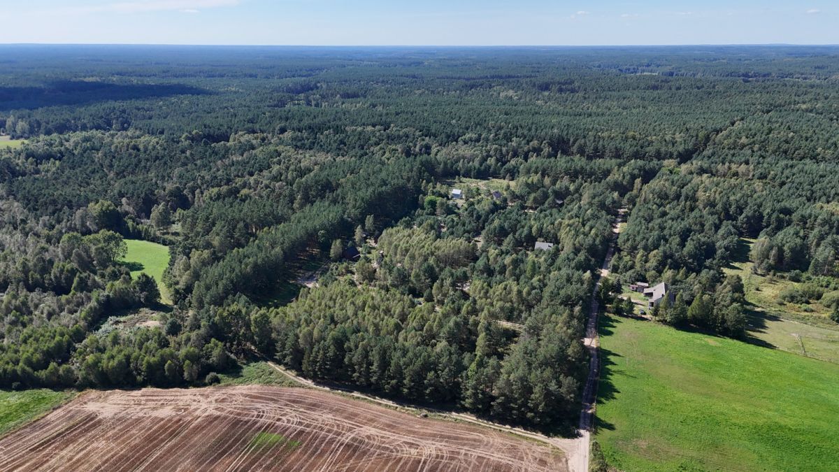 Działka budowlana Osowo Leśne. Zdjęcie 4
