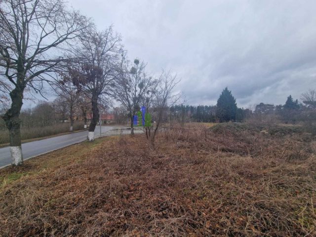 Działka rolna Ratowice. Zdjęcie 1