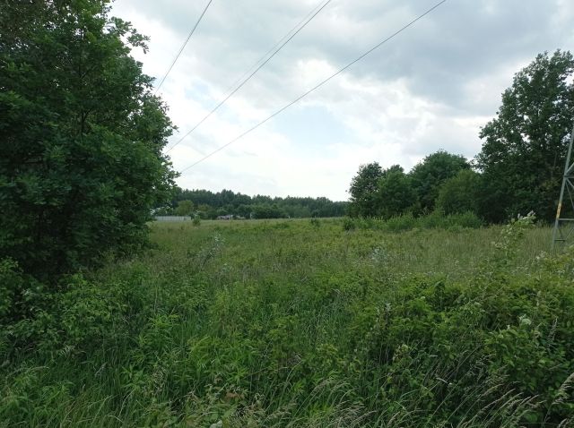 Działka rolna Wancerzów. Zdjęcie 1