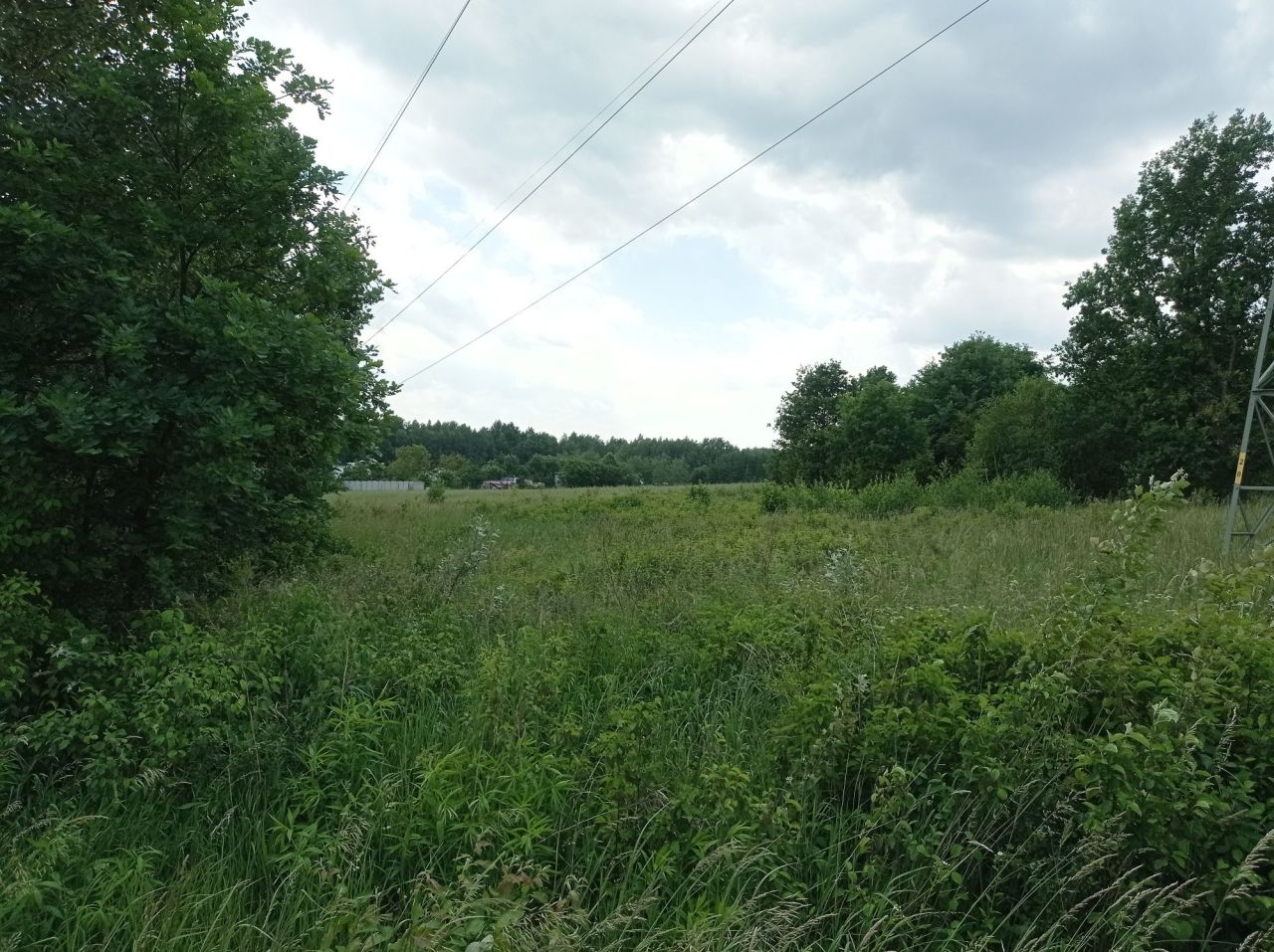 Działka rolna Wancerzów. Zdjęcie 1