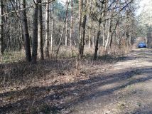 Działka rekreacyjna Widełka. Zdjęcie 1