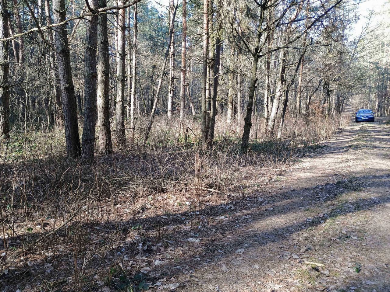 Działka rekreacyjna Widełka. Zdjęcie 2