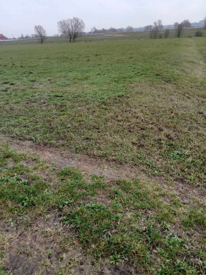 Działka rolna Brankówka. Zdjęcie 3