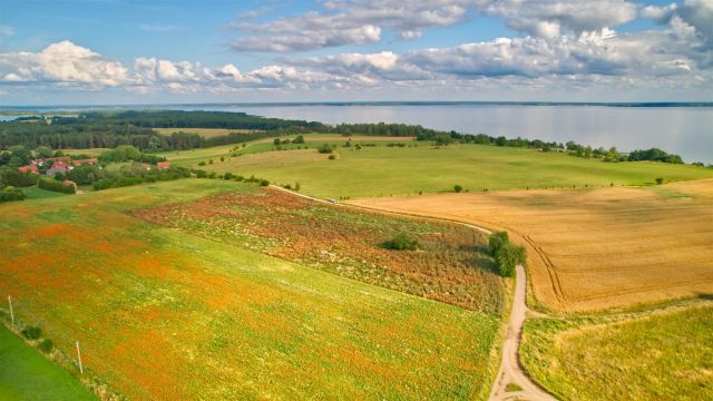 Działka rolna Dziubiele. Zdjęcie 2