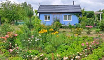 siedlisko, 1 pokój Wólka Szczawińska