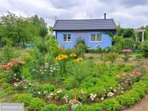 siedlisko, 1 pokój Wólka Szczawińska. Zdjęcie 1