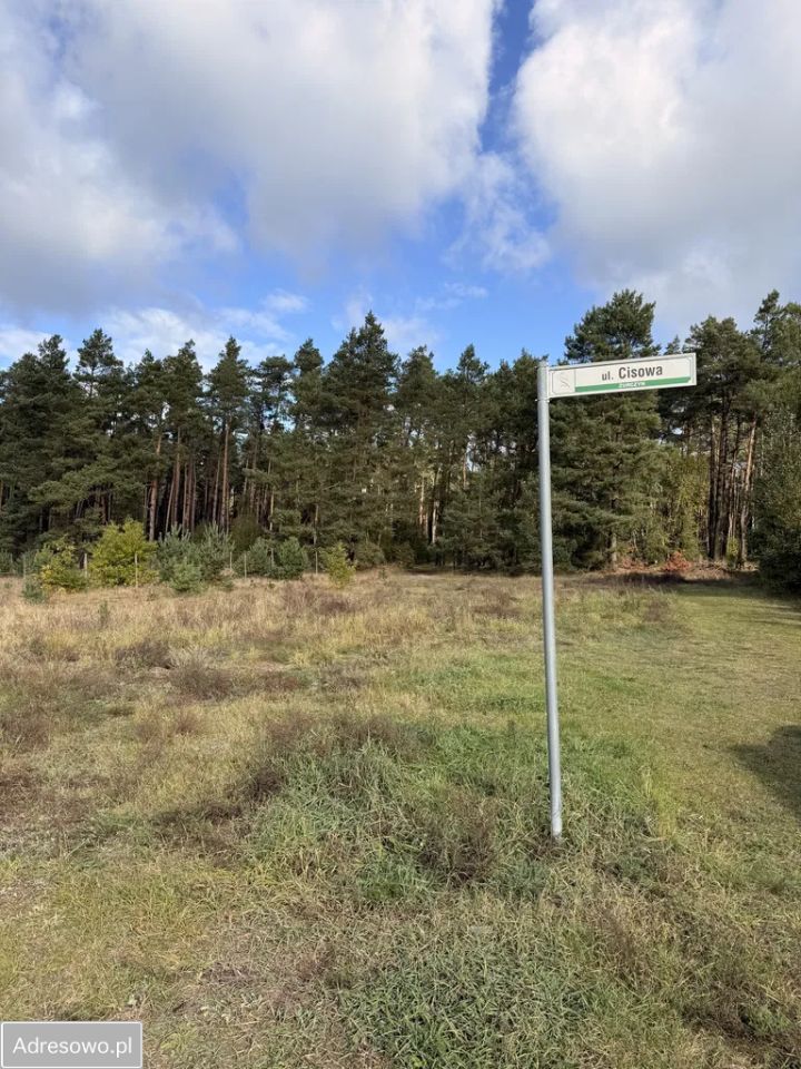 Działka budowlana Żurczyn, ul. Cisowa. Zdjęcie 6