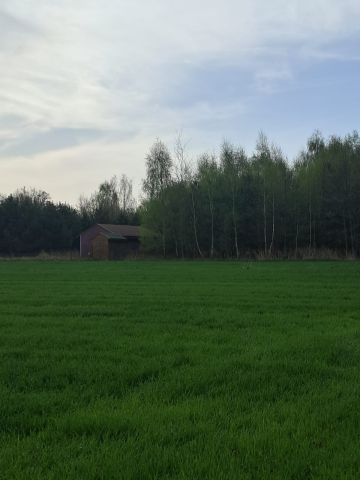 Działka budowlana Kalisz Rypinek, ul. Wał Piastowski. Zdjęcie 4