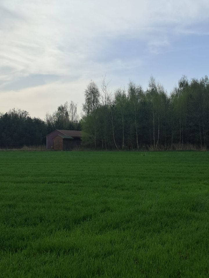 Działka budowlana Kalisz Rypinek, ul. Wał Piastowski. Zdjęcie 4