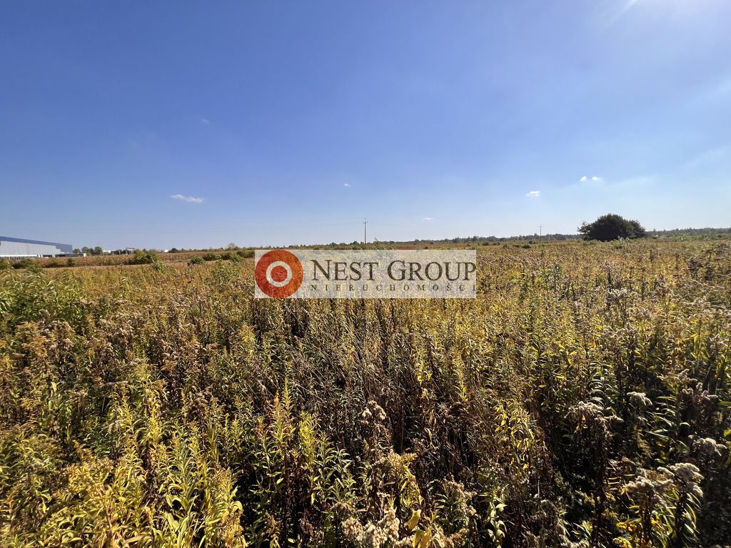 Działka budowlana Kaliszki, ul. Małotka. Zdjęcie 10