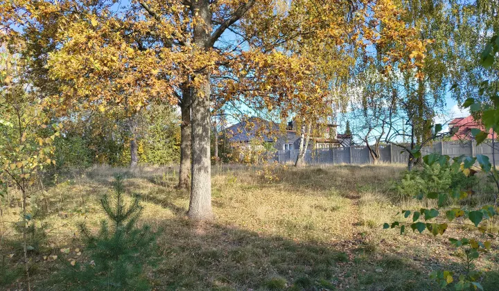 Działka budowlana Żakowice, ul. Piotrkowska