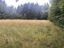 Działka rolna Męcina Zagórze. Zdjęcie 4