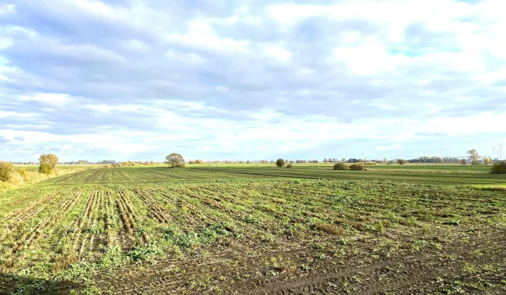 Działka budowlana Stara Wisła