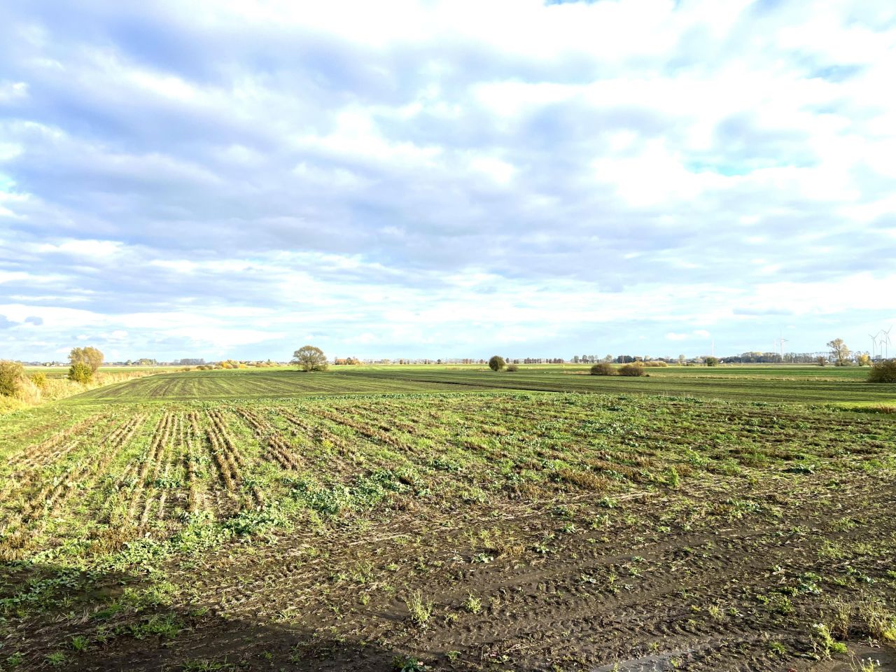 Działka budowlana Stara Wisła