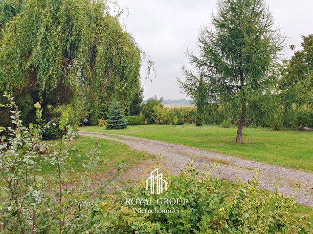 Działka inwestycyjna Bystrzejowice Pierwsze. Zdjęcie 3