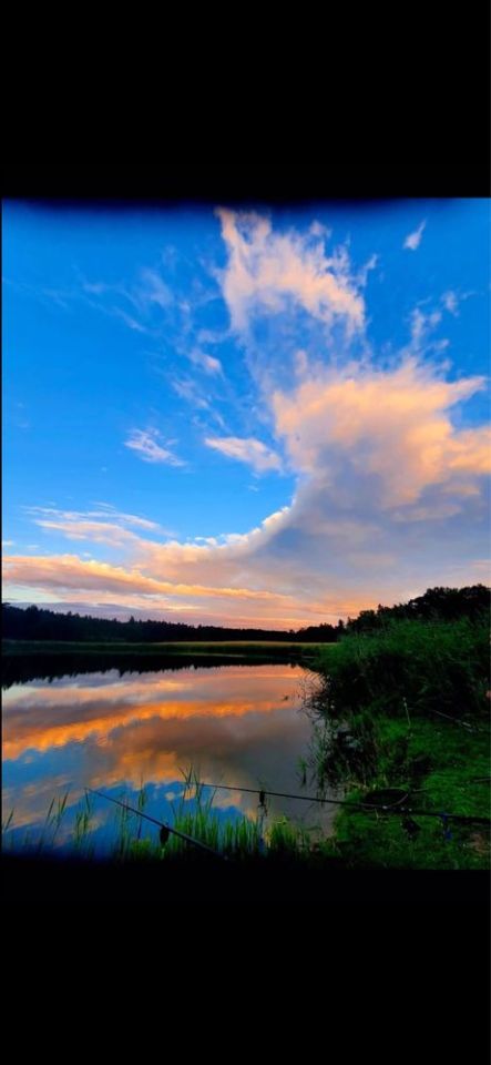Działka budowlana Chełm Dolny. Zdjęcie 6