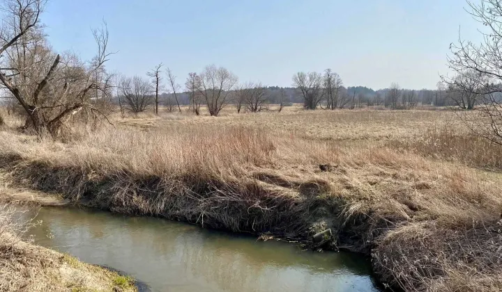 Działka rolna Duchnów, ul. Nizinna
