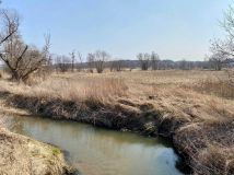 Działka rolna Duchnów. Zdjęcie 2