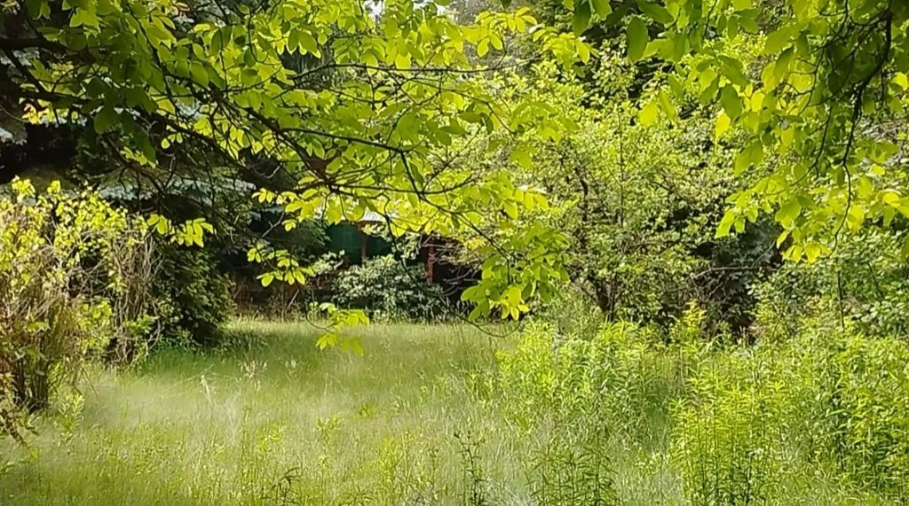 Działka budowlana Zaręby. Zdjęcie 5