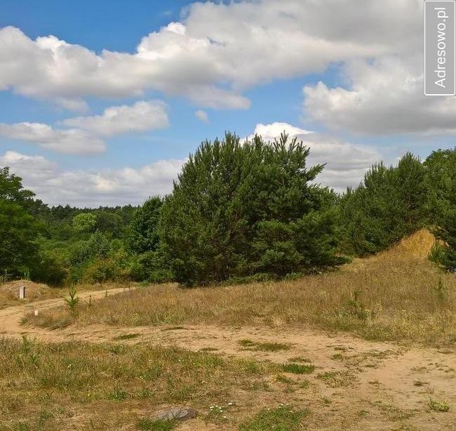 Działka budowlana Łowyń, ul. Nadjeziorna. Zdjęcie 6