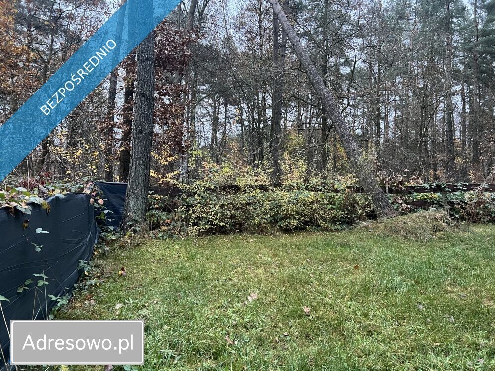 Działka leśna Elżbietowo. Zdjęcie 4