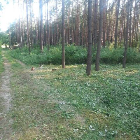 Działka rekreacyjna Życiny. Zdjęcie 1