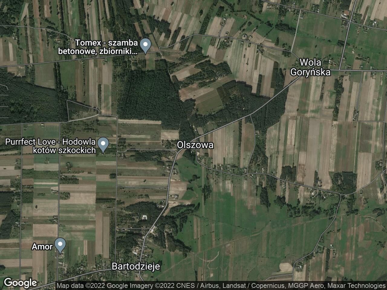 Działka rolna Olszowa. Zdjęcie 2