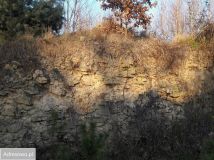 Działka inwestycyjna Szydłowiec, ul. Polna. Zdjęcie 3