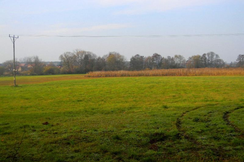 Działka inwestycyjna Grójec Mały. Zdjęcie 6