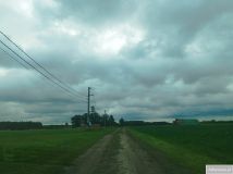 Działka budowlana Bilew. Zdjęcie 1