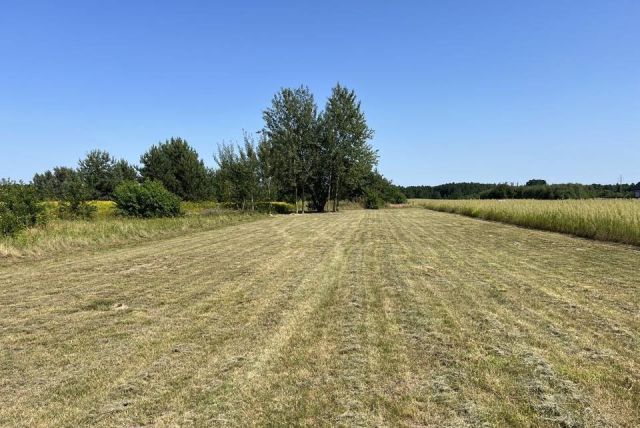 Działka budowlana Brańszczyk, ul. Polna. Zdjęcie 1