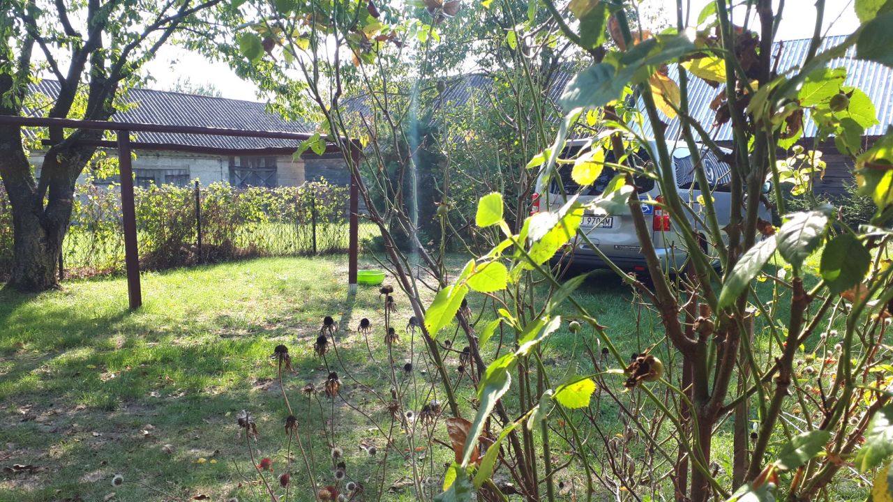 Działka rekreacyjna Morzyczyn Włościański. Zdjęcie 10