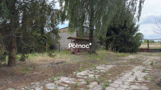 Hala/magazyn Stodoły-Kolonie. Zdjęcie 2