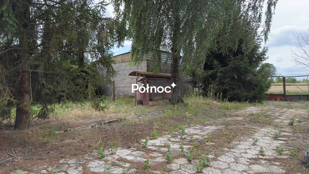 Hala/magazyn Stodoły-Kolonie. Zdjęcie 2