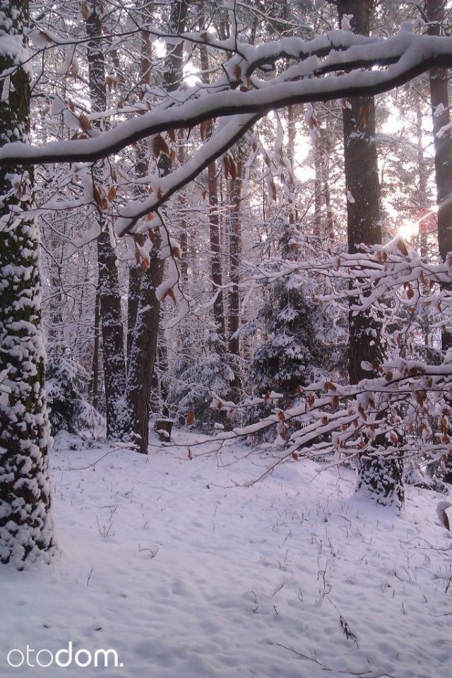 dom wolnostojący, 9 pokoi Przewodowice. Zdjęcie 13