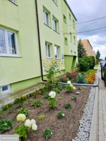 Mieszkanie 2-pokojowe Boczów, ul. gen. Sikorskiego. Zdjęcie 1