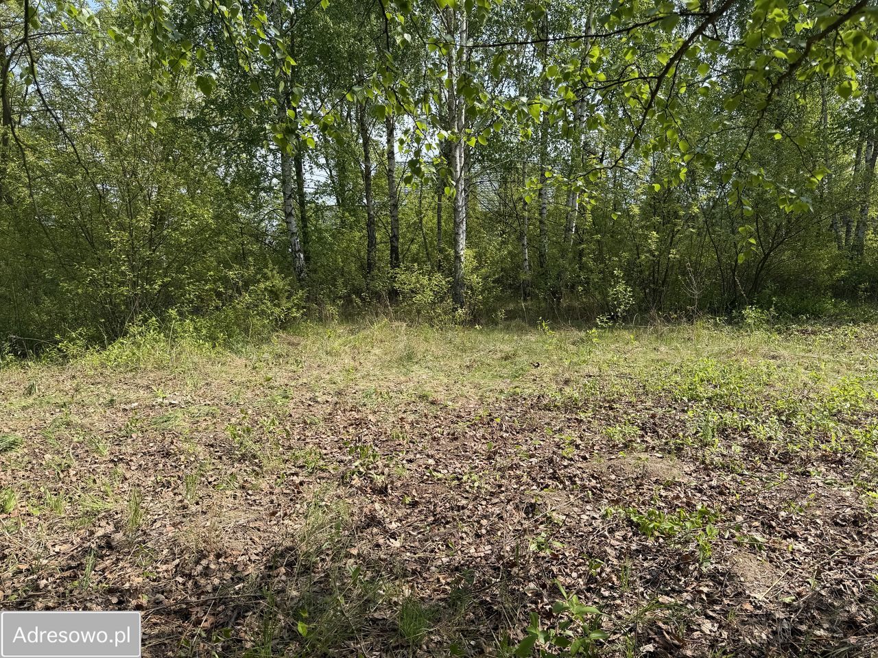 Działka budowlana Popowo-Parcele, ul. Cyraneczki. Zdjęcie 4