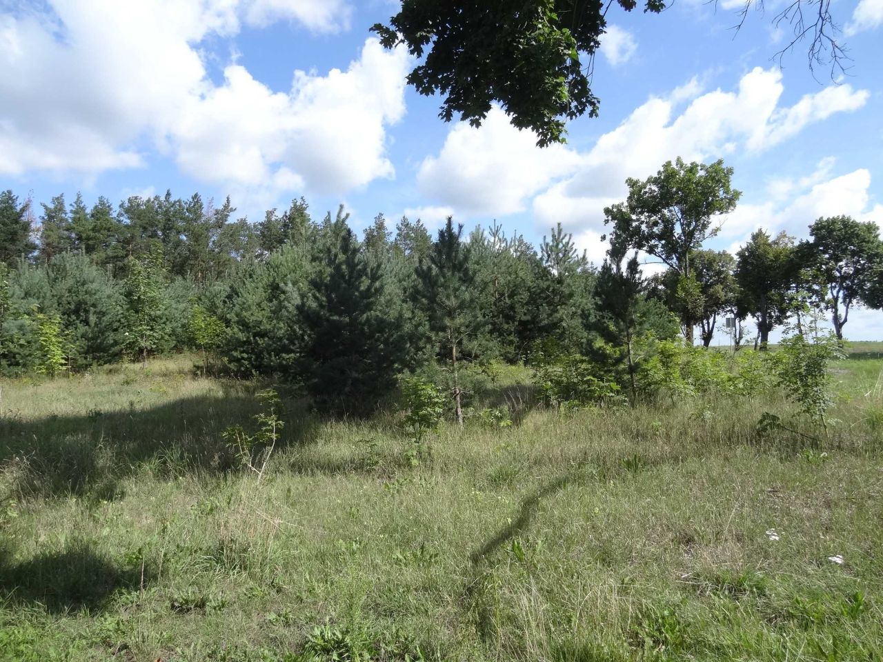 Działka siedliskowa Nowe Chrostkowo. Zdjęcie 6