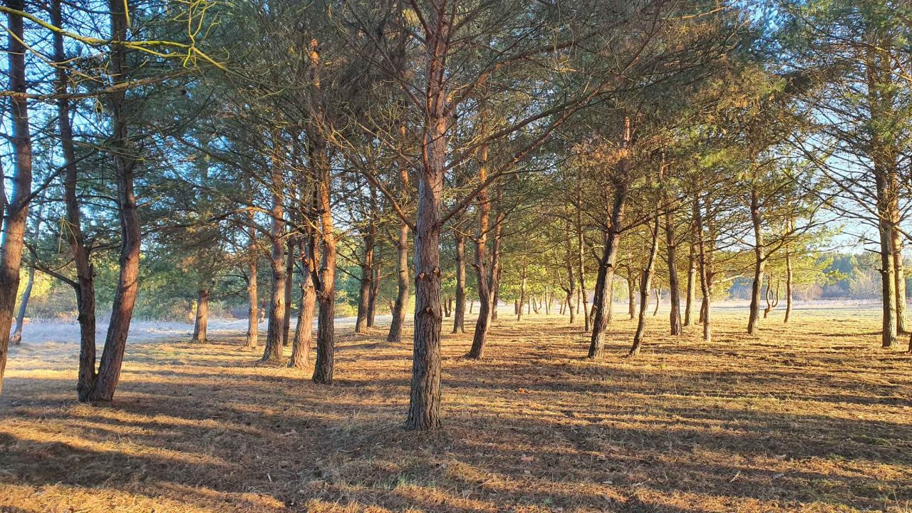 Działka budowlana Skarbka Bidzińszczyzna. Zdjęcie 4