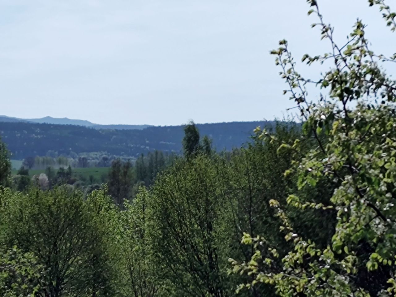 Działka budowlana Świecie Chałupska. Zdjęcie 10