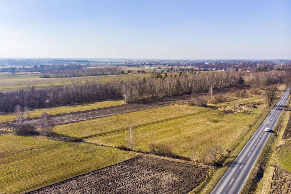Działka inwestycyjna Huta Wiskicka. Zdjęcie 14