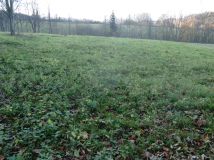 Działka rekreacyjna Juszczyna Puścizna. Zdjęcie 4