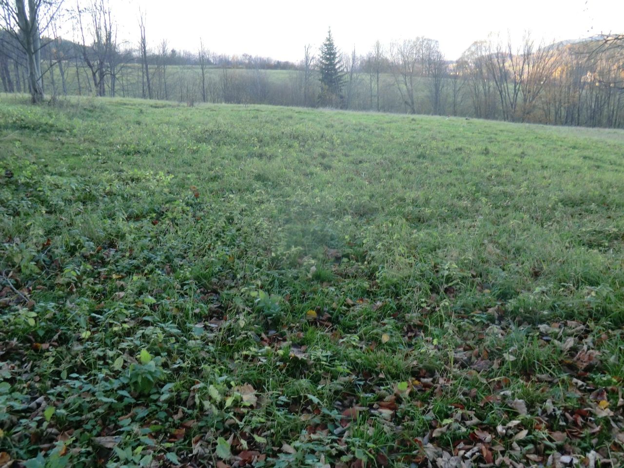 Działka rekreacyjna Juszczyna Puścizna. Zdjęcie 5