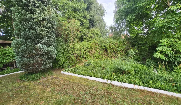 Działka rod Katowice Dąbrówka Mała, ul. Strzelców Bytomskich