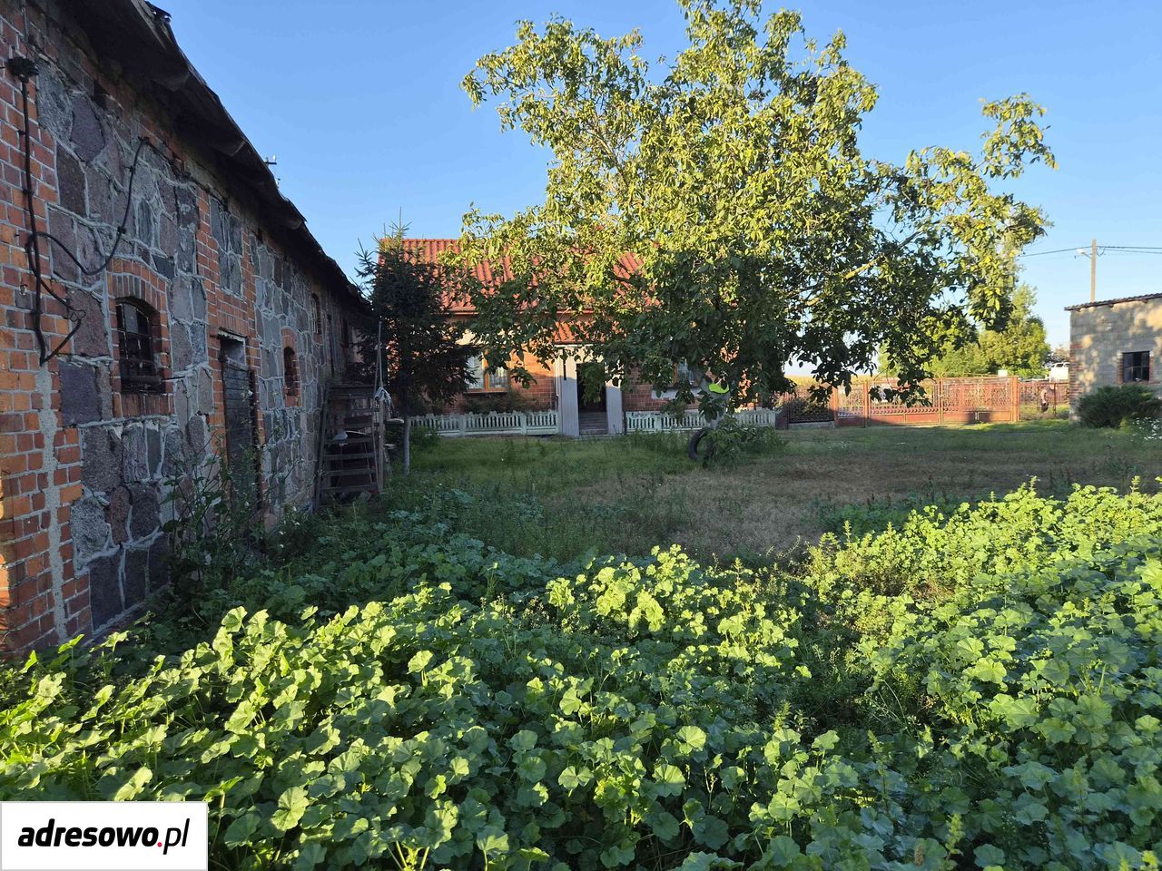 dom wolnostojący, 4 pokoje Kaźmierków. Zdjęcie 18